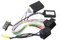 Interface Wandlung RGB auf Video Composite NTSC VW RFK...