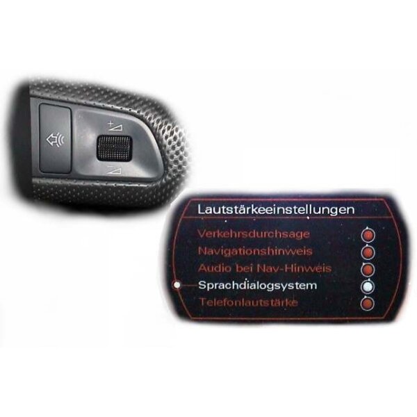 Sprach-Dialog-System (SDS) - Sprachbedienung für Audi A6 4F